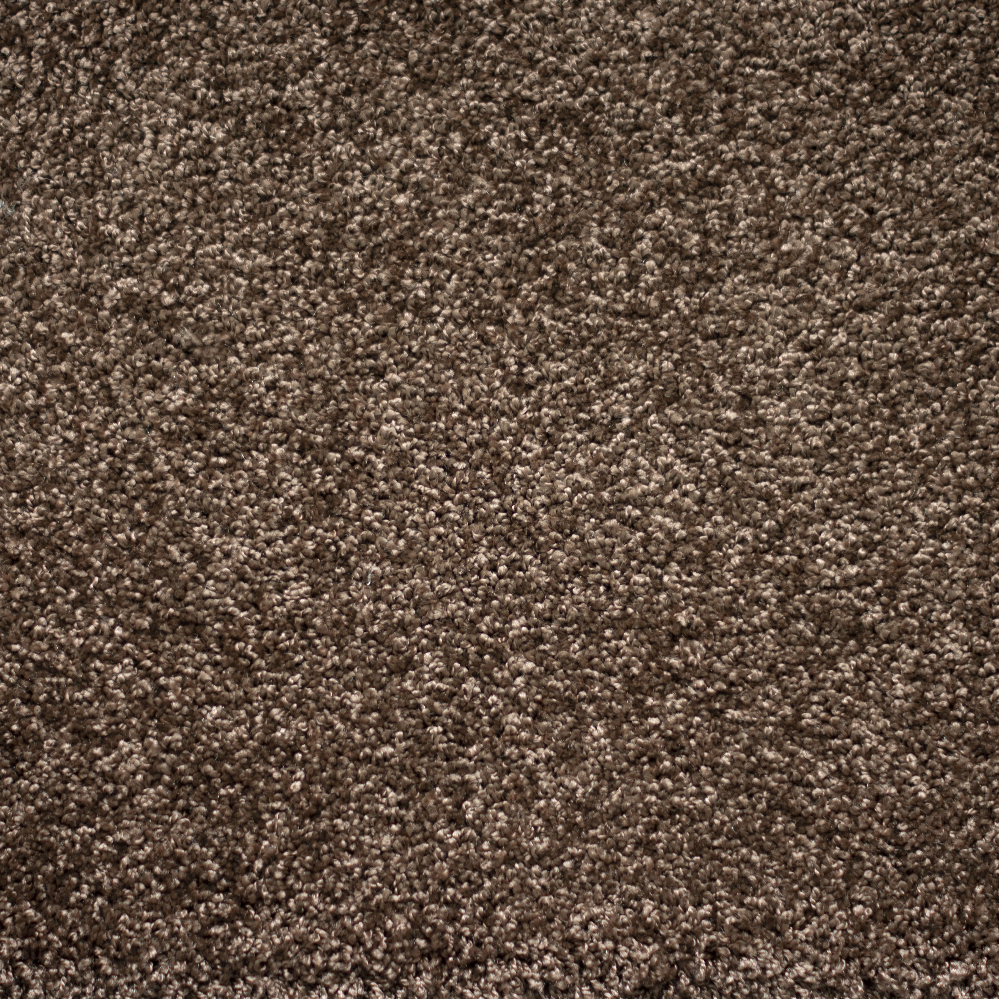 Ковролин "Зартекс" Tesoro 156 коричневый (4м) — купить в Верхней Пышме