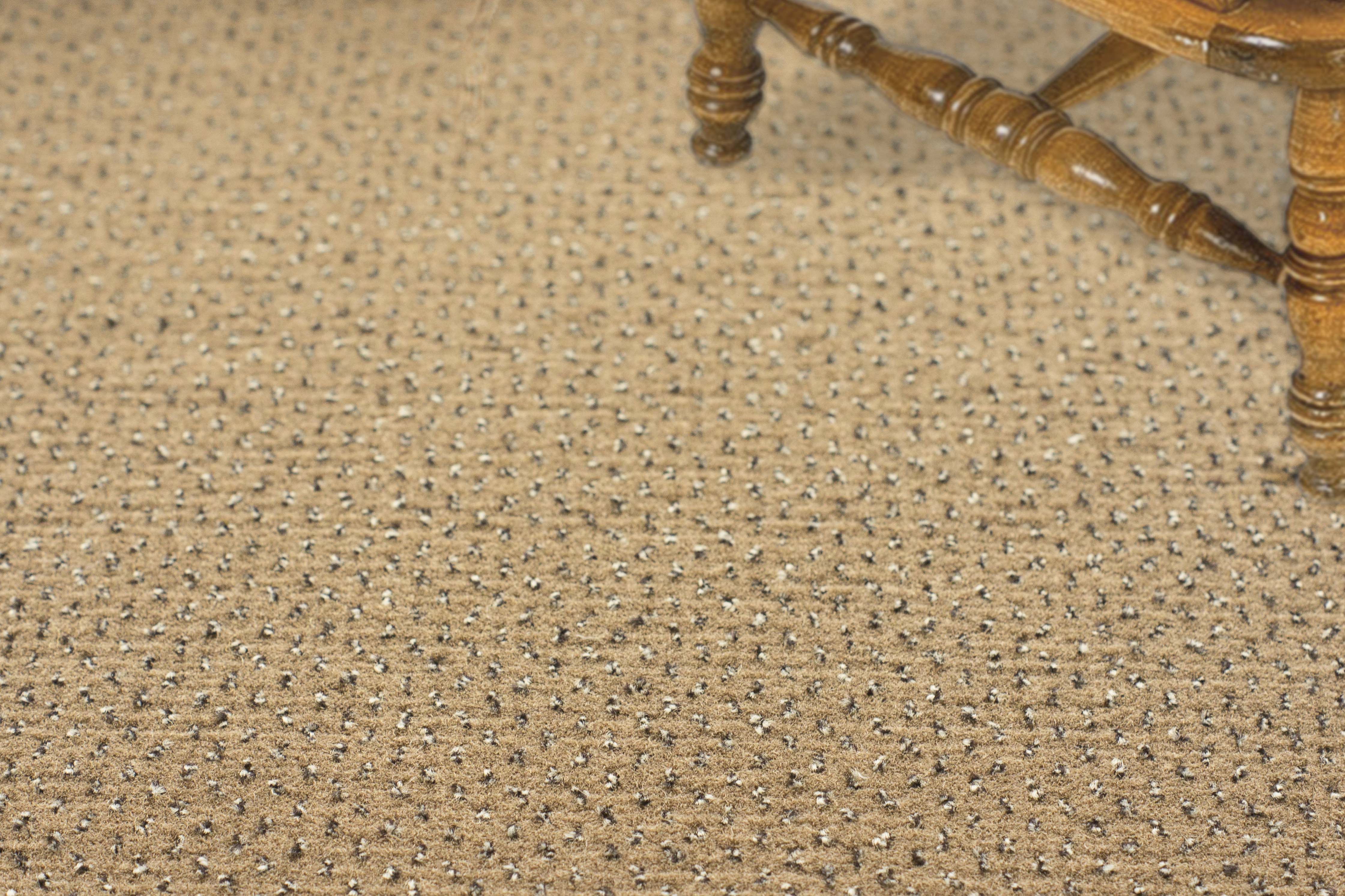 Ковролин "Зартекс" Eternity 142 бежевый (4м) — купить в Верхней Пышме